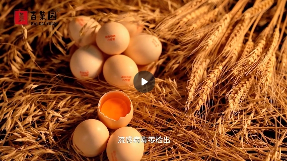 &#72;&#74;&#67;&#40644;&#37329;&#22478;
